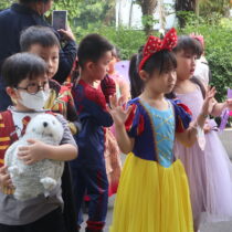 book week 5
